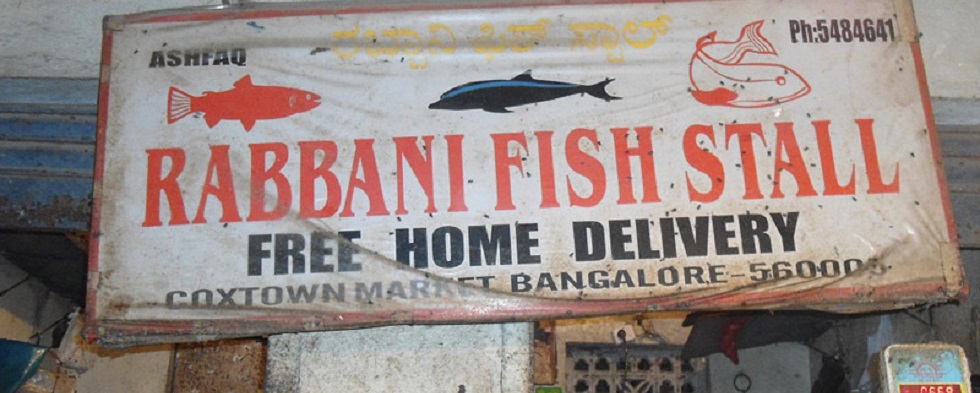 You are currently viewing All About Questionable Fish & Killing My Own Halal Chickens in Bangalore